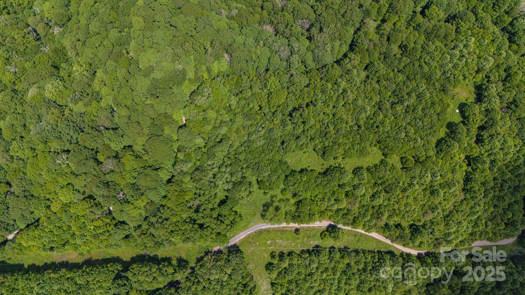 Turkey Trot Farms - Land