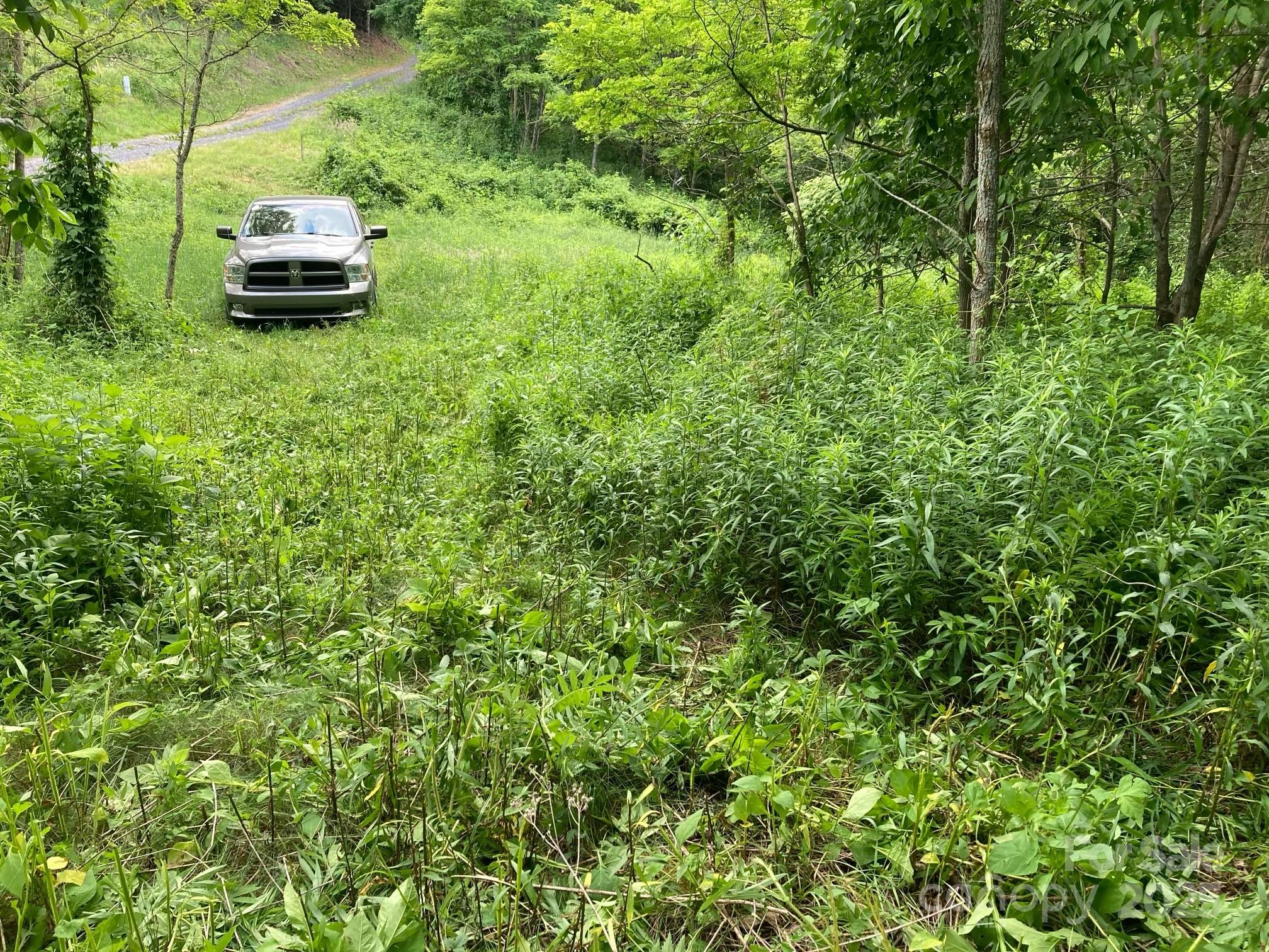 Turkey Trot Farms - Land