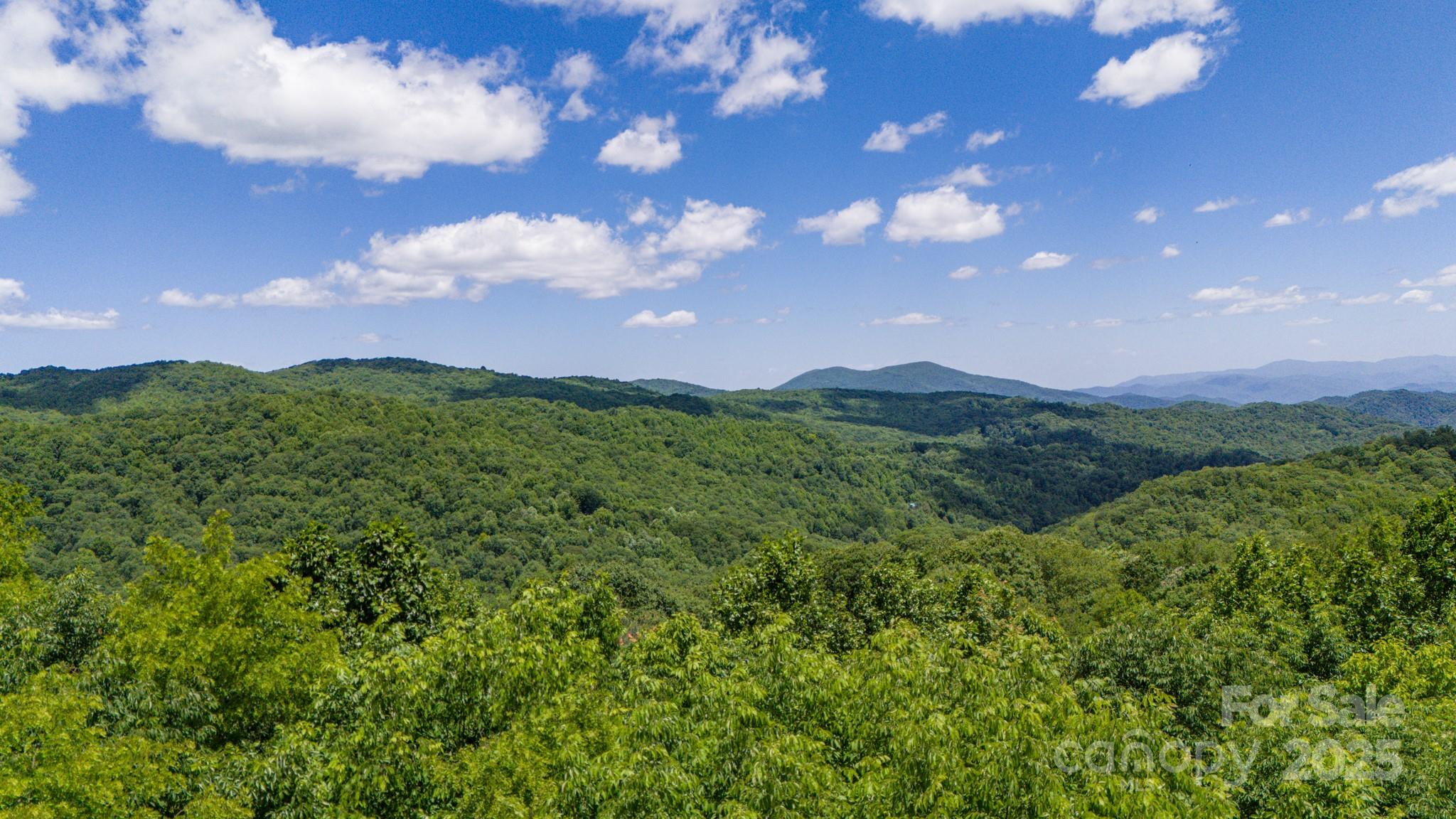 Turkey Trot Farms - Land