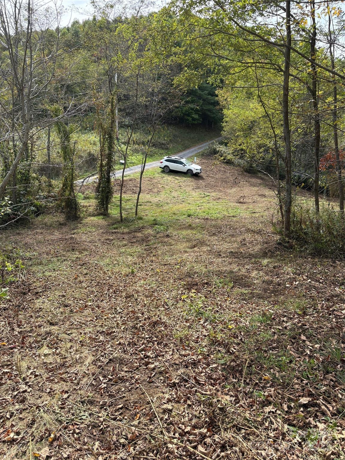 Tract 2 Turkey Trot Road