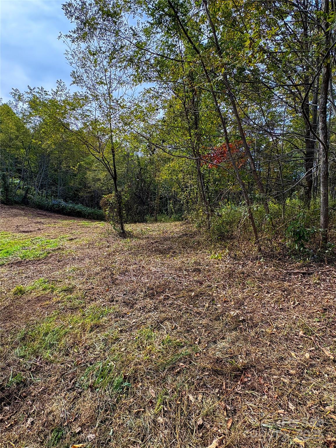 Tract 2 Turkey Trot Road