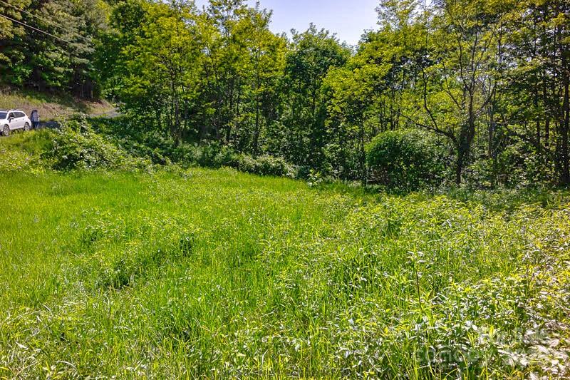 Turkey Trot Farms - Land