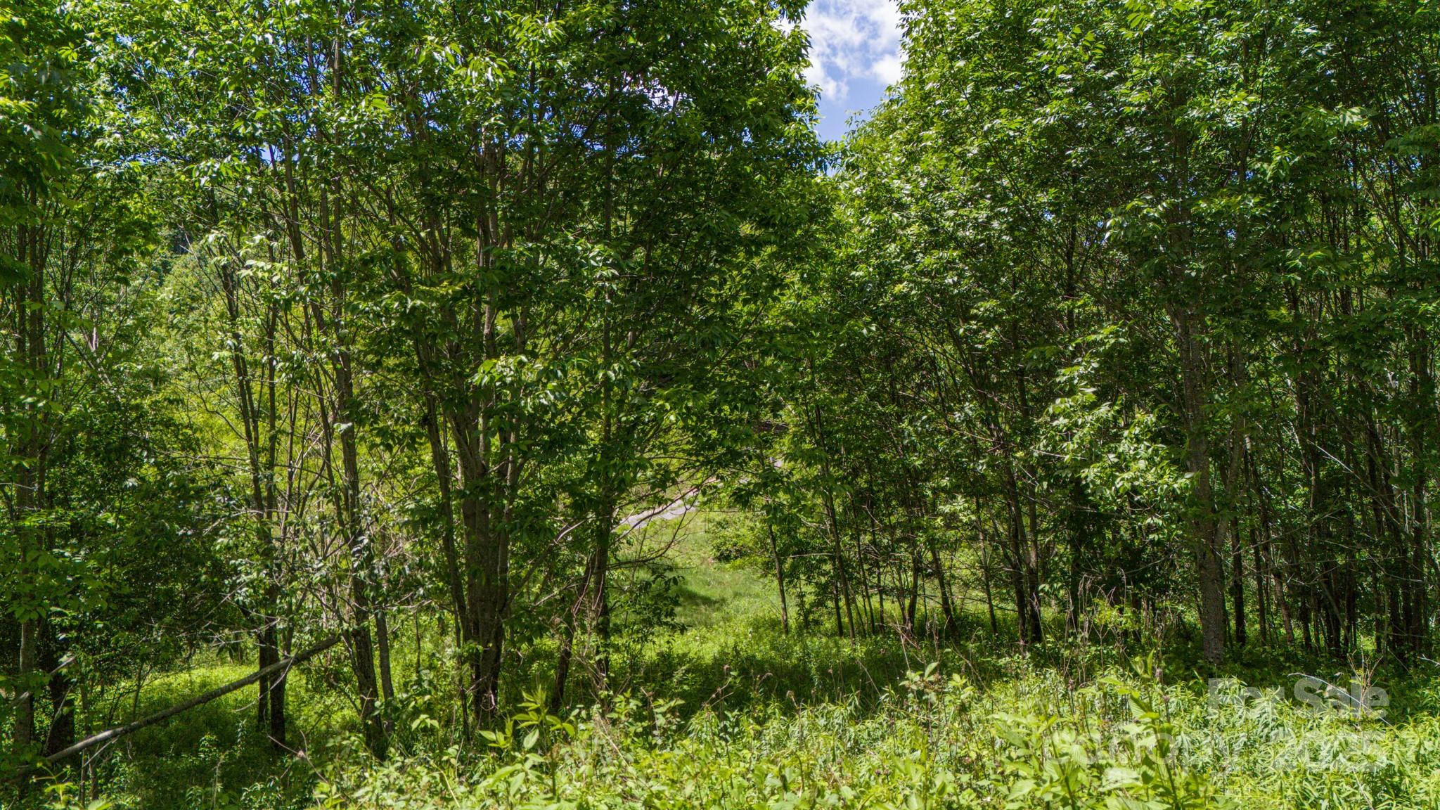 Turkey Trot Farms - Land