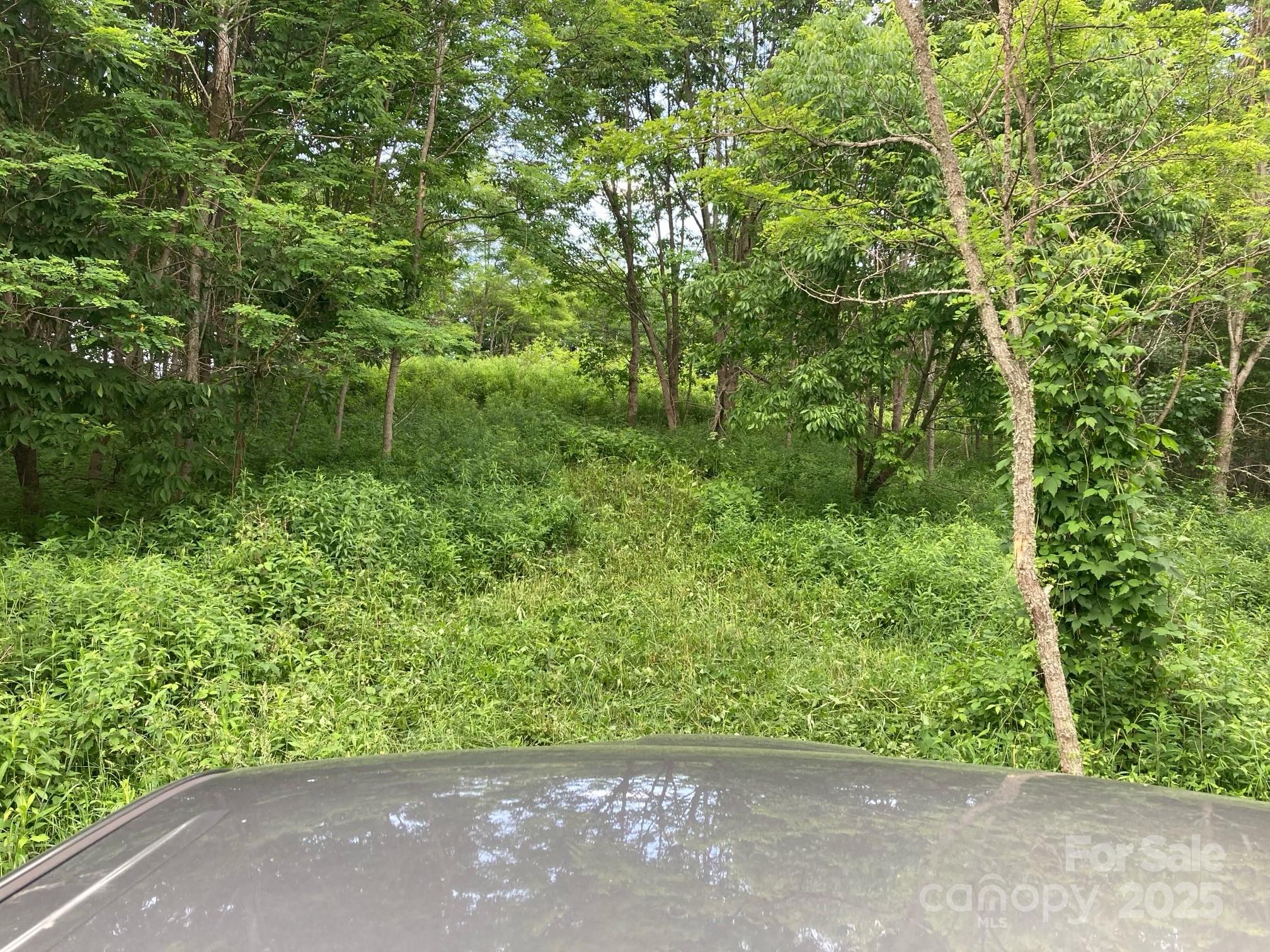 Turkey Trot Farms - Land