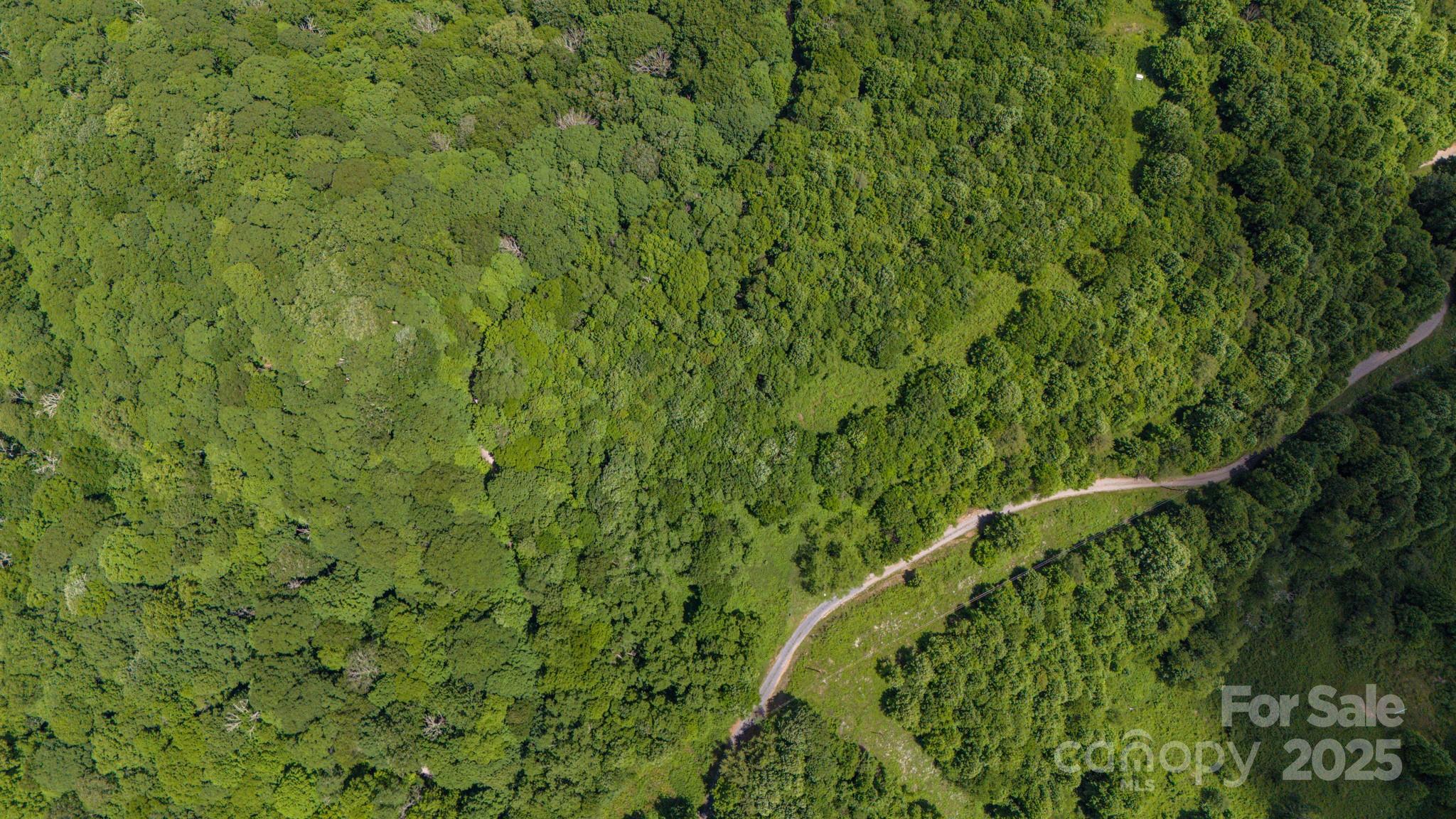 Turkey Trot Farms - Land