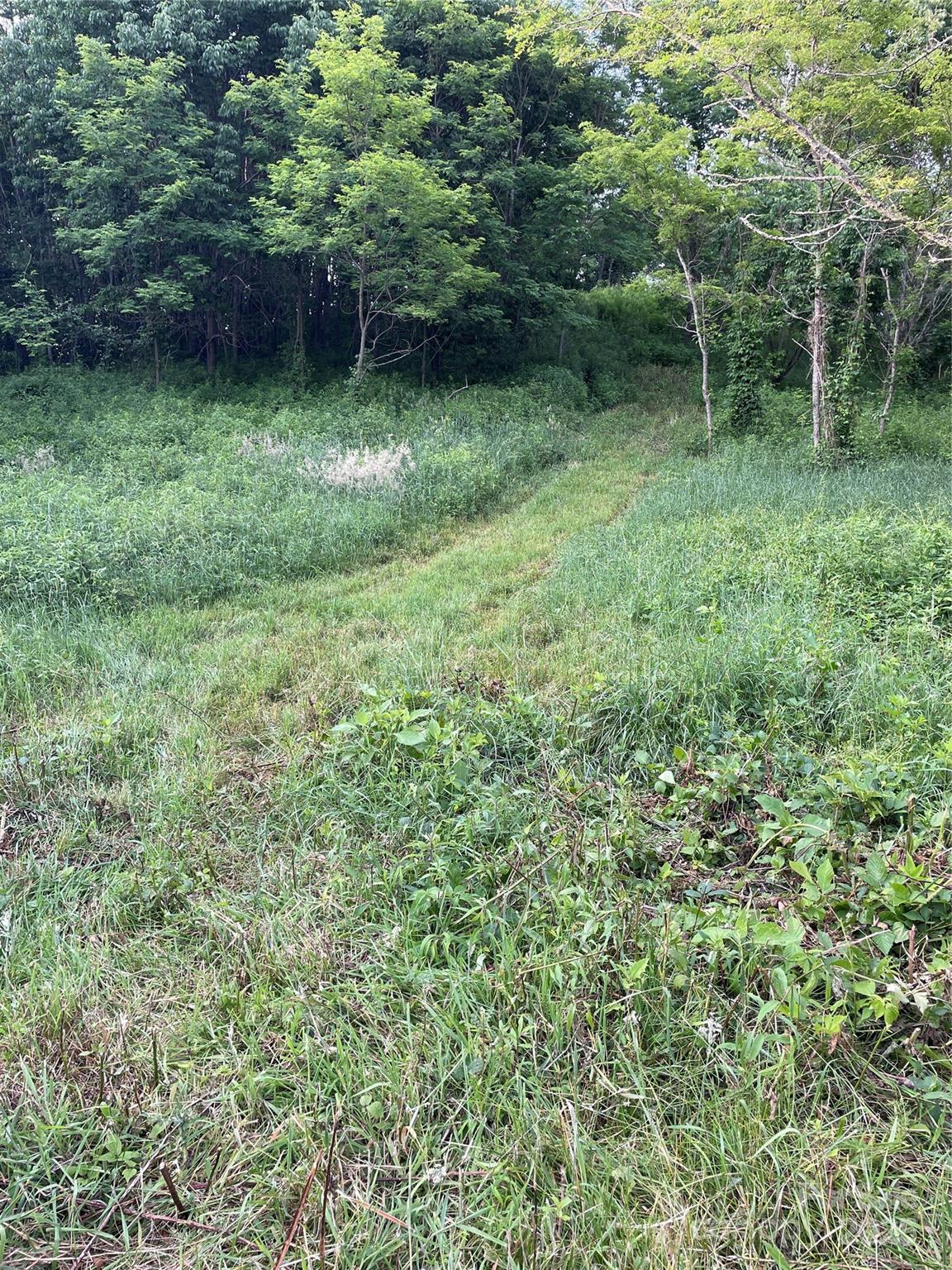 Turkey Trot Farms - Land