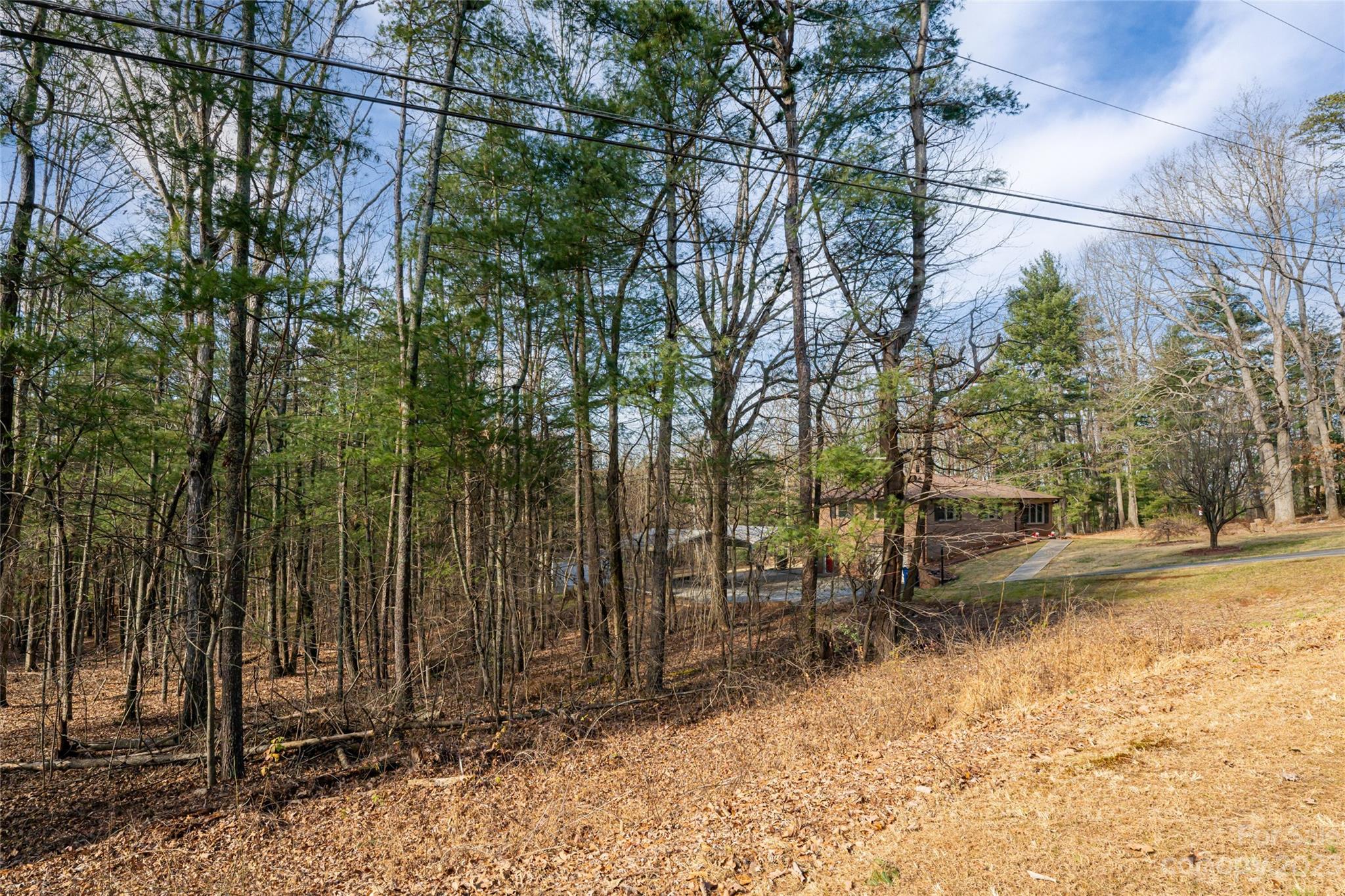 Forest Hills - Residential