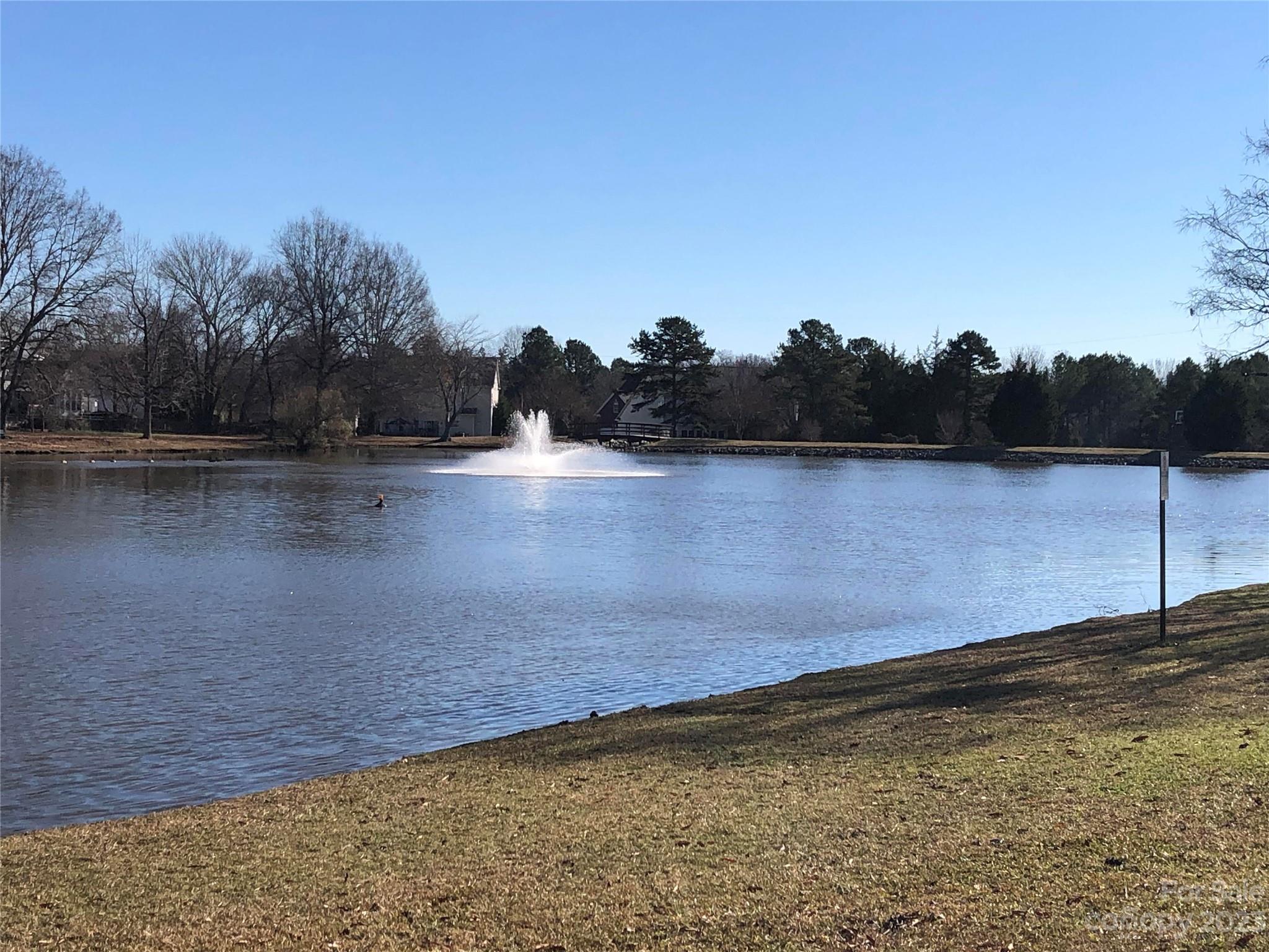 Brandon Oaks - Residential