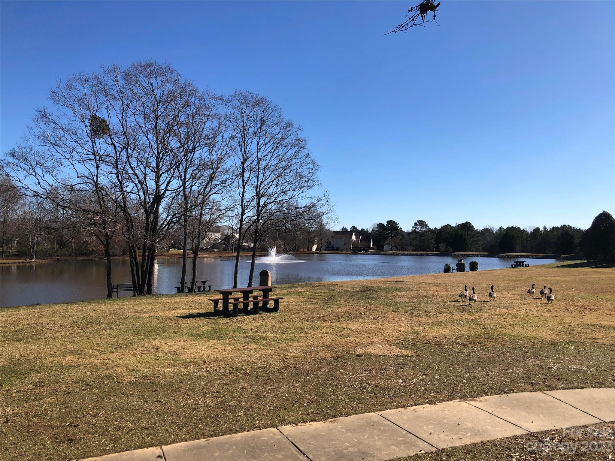 Brandon Oaks - Residential