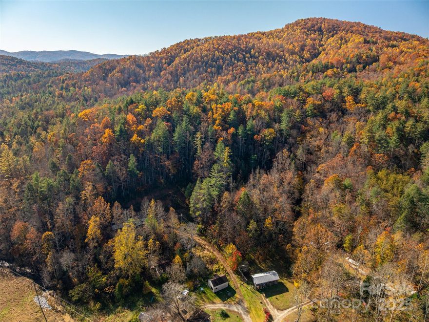 Wooded acreage with mountain view quietly nestled away for that desirable privacy and retreat.  Call today for an appointment to walk this private getaway.