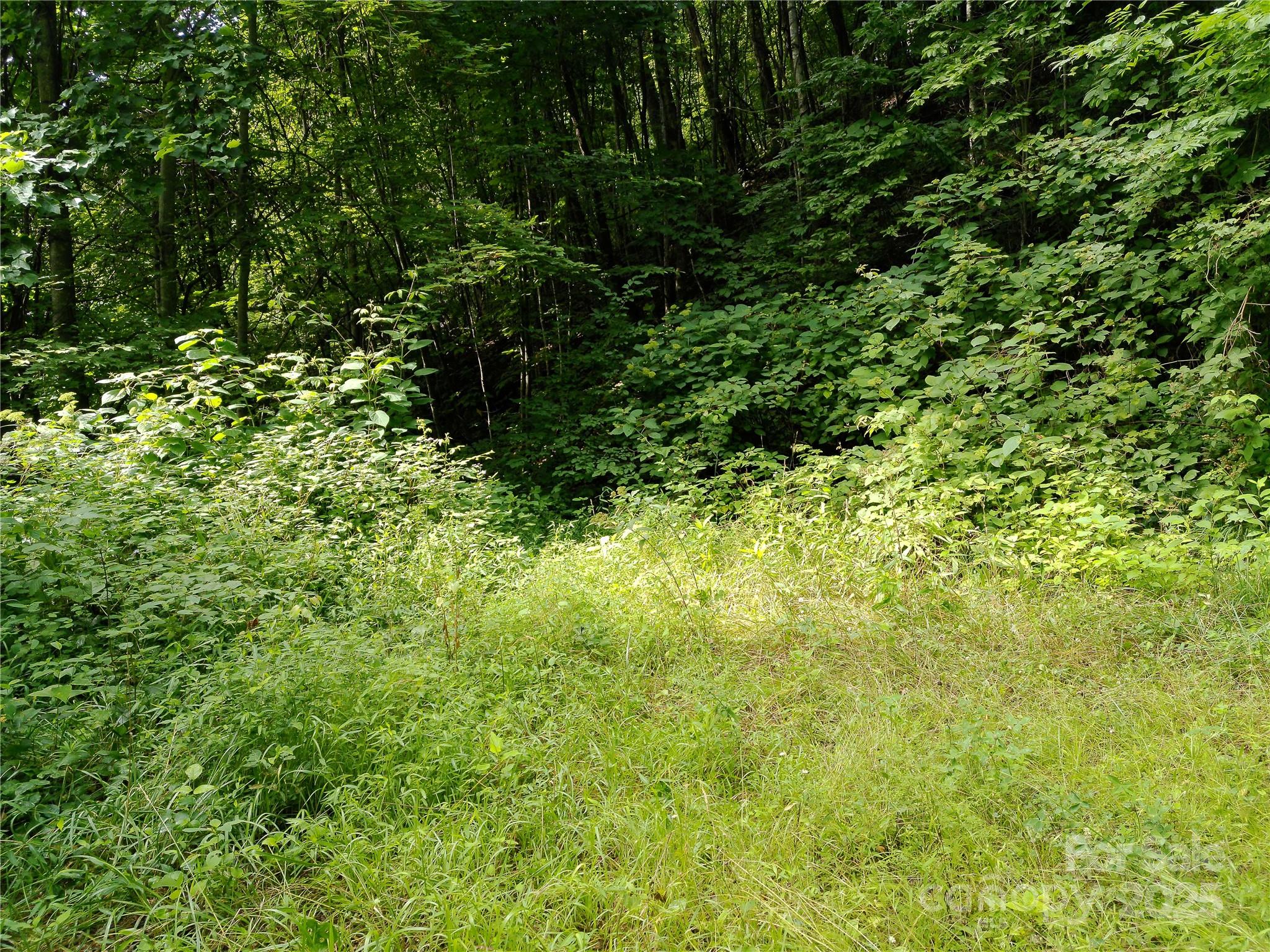 Roaming Elk Hills - Land