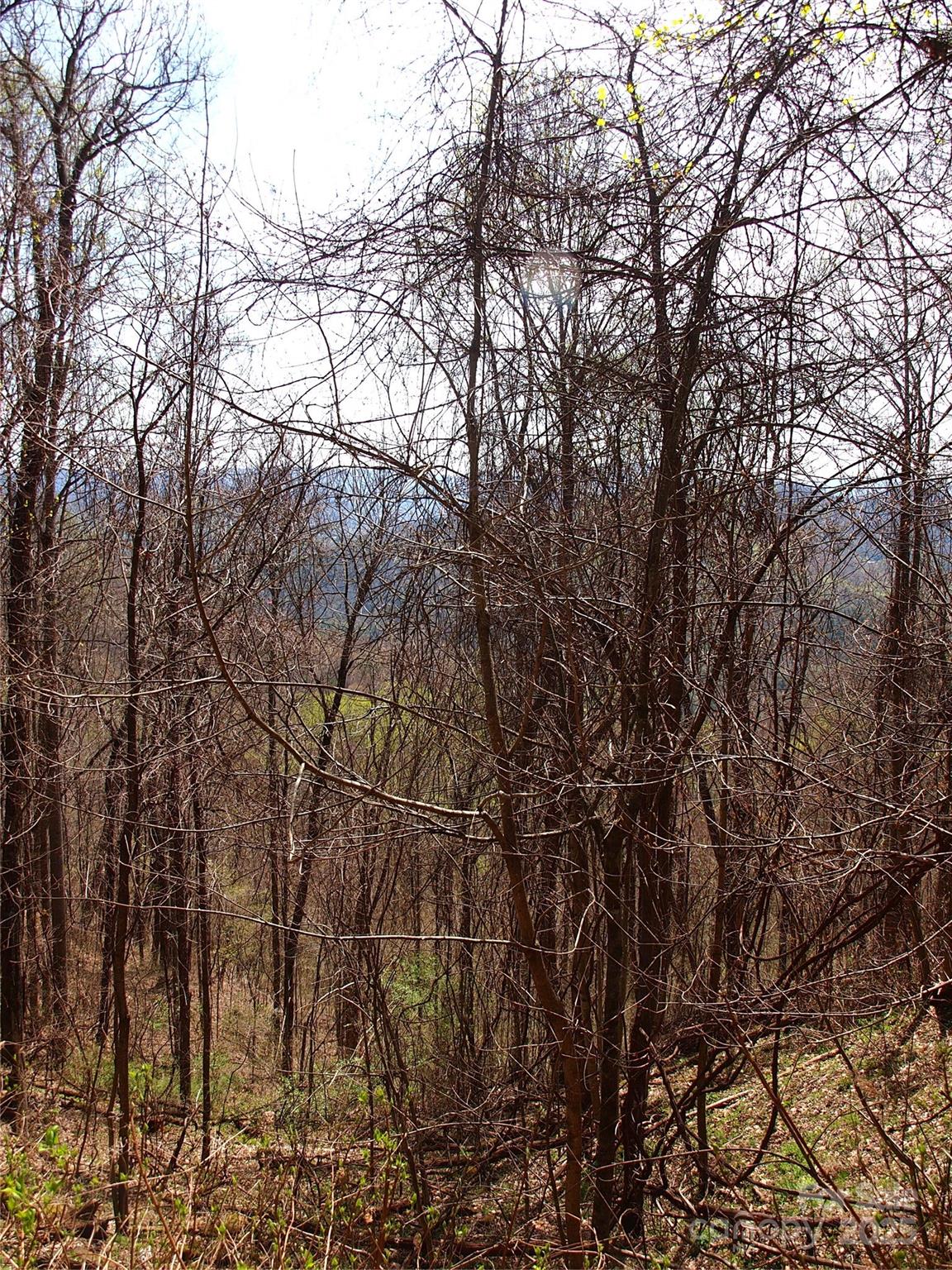 Roaming Elk Hills - Land