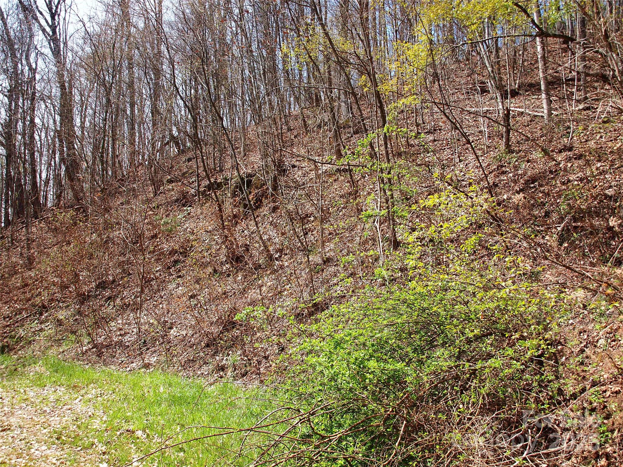 Roaming Elk Hills - Land