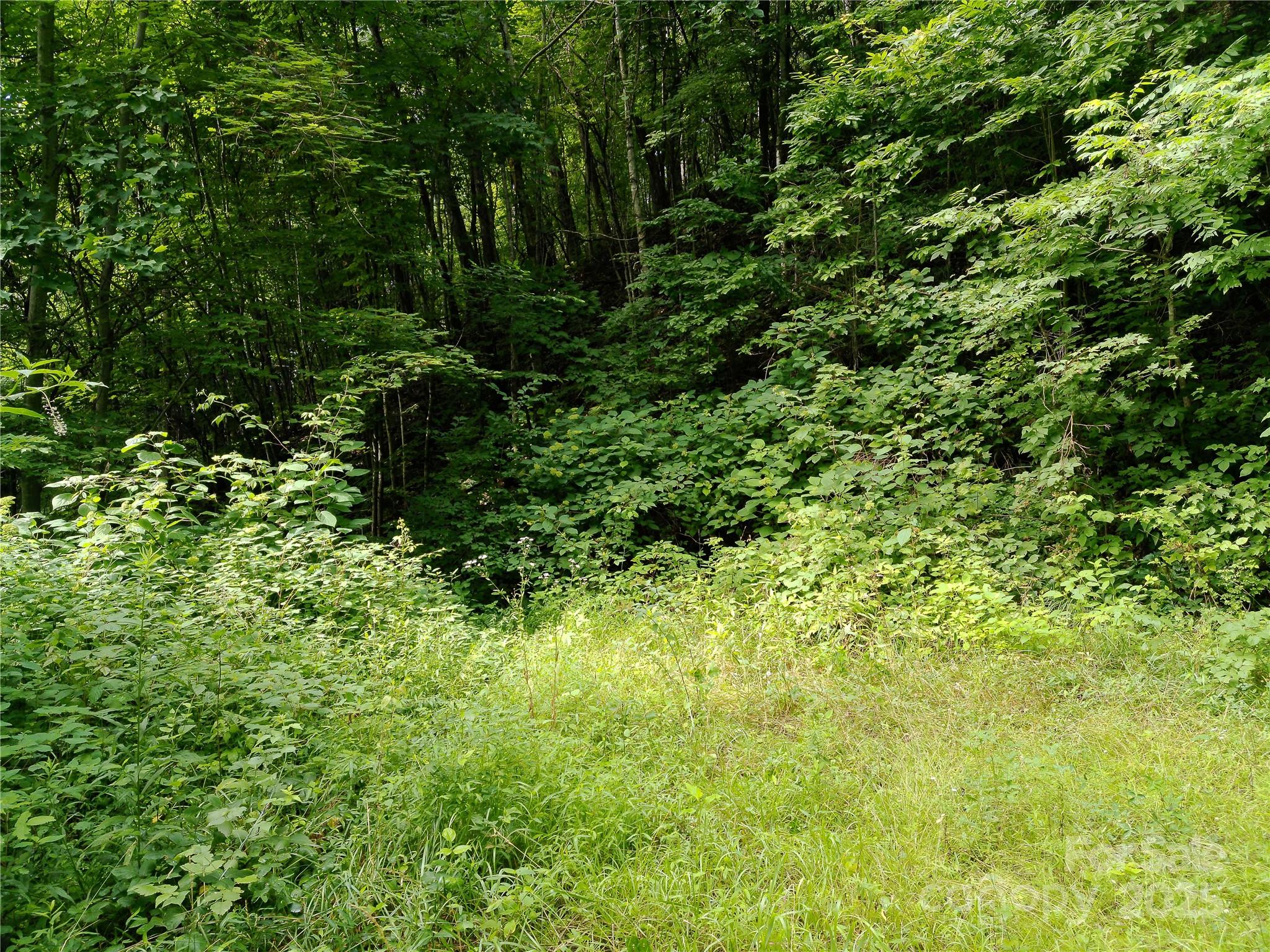 Roaming Elk Hills - Land