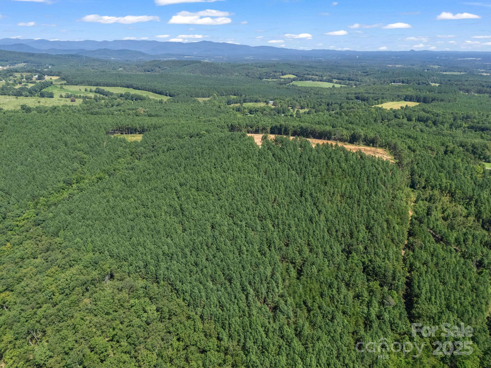 Moore Mountain Farms - Land