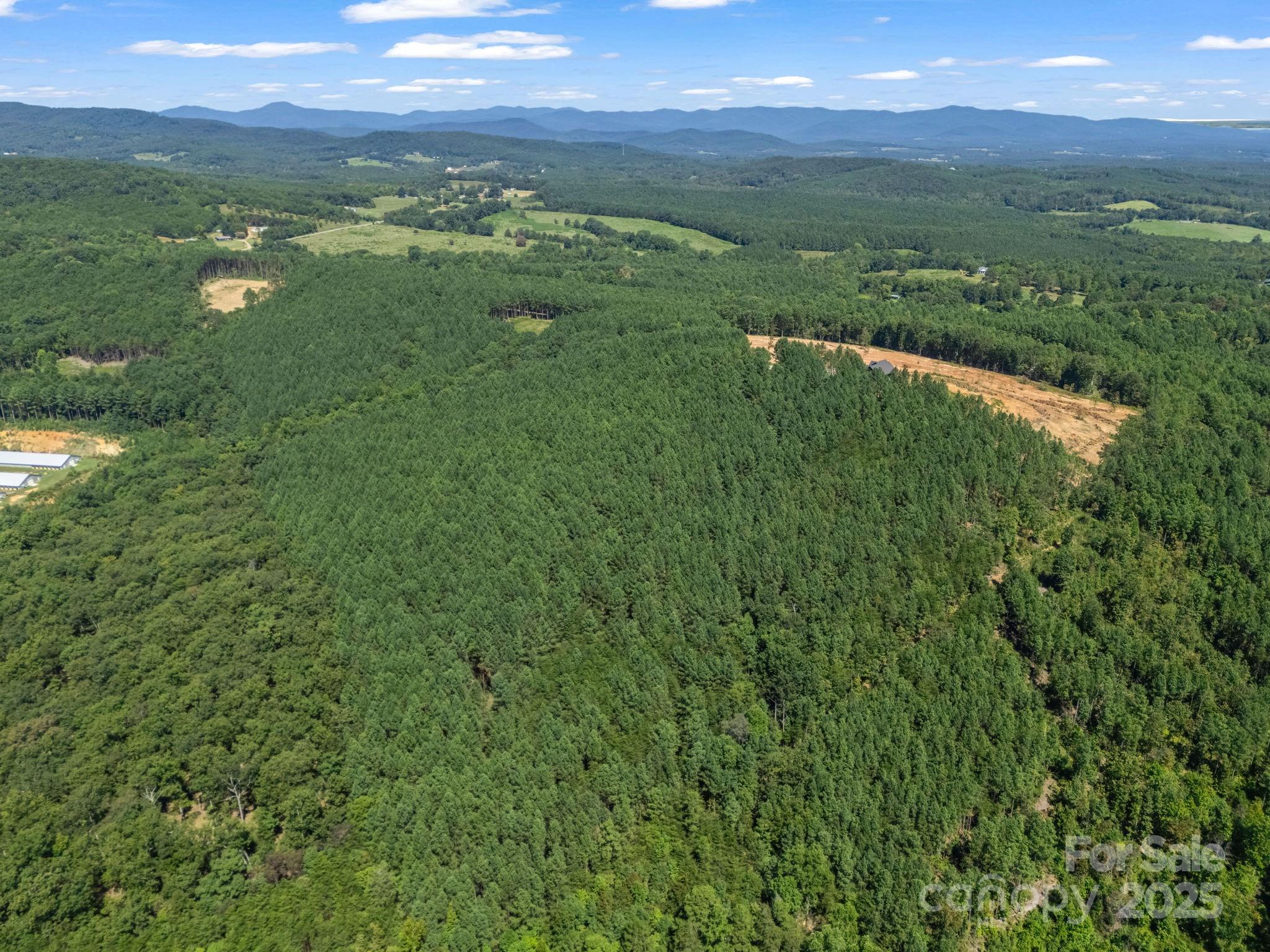 Moore Mountain Farms - Land