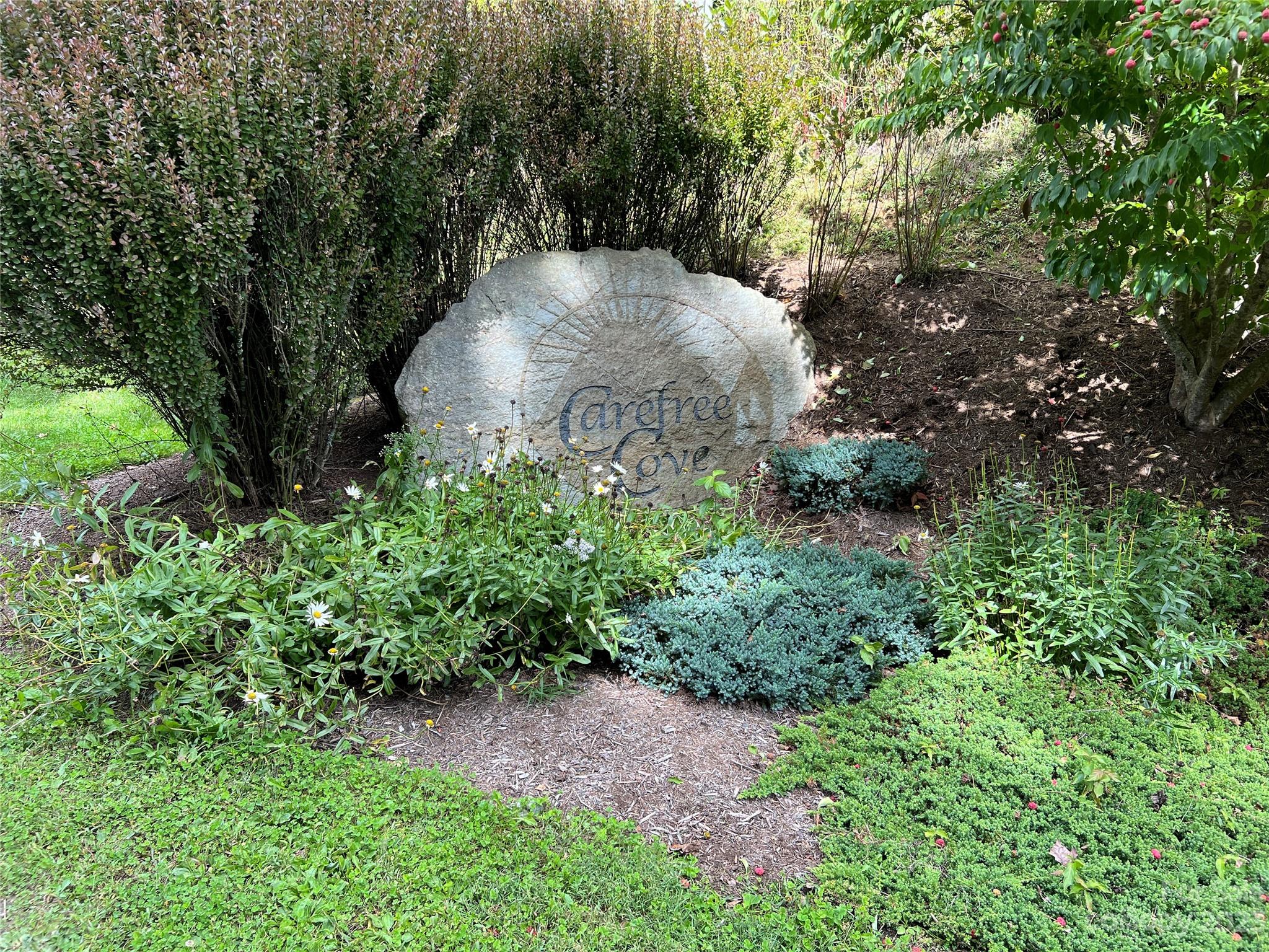 Carefree Cove - Land