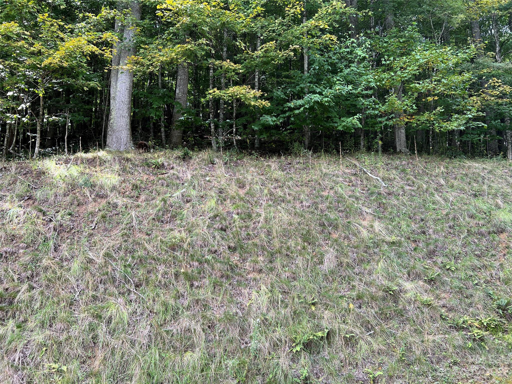 Carefree Cove - Land