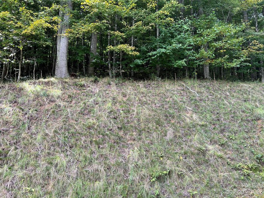 Build your dream home or getaway in the Appalachian Mountains of North Carolina! This lot in the Carefree Cove subdivision offers a serene and peaceful setting in a gated community with minimal restrictions. Community offers hiking trails and a shared community well system. Wildlife abound in this area. Perfect place for a weekend getaway or permanent home away from the hustle and bustle while convenient to Boone, West Jefferson, and Mountain City. If you need more acreage, adjacent Lot 79 is available.