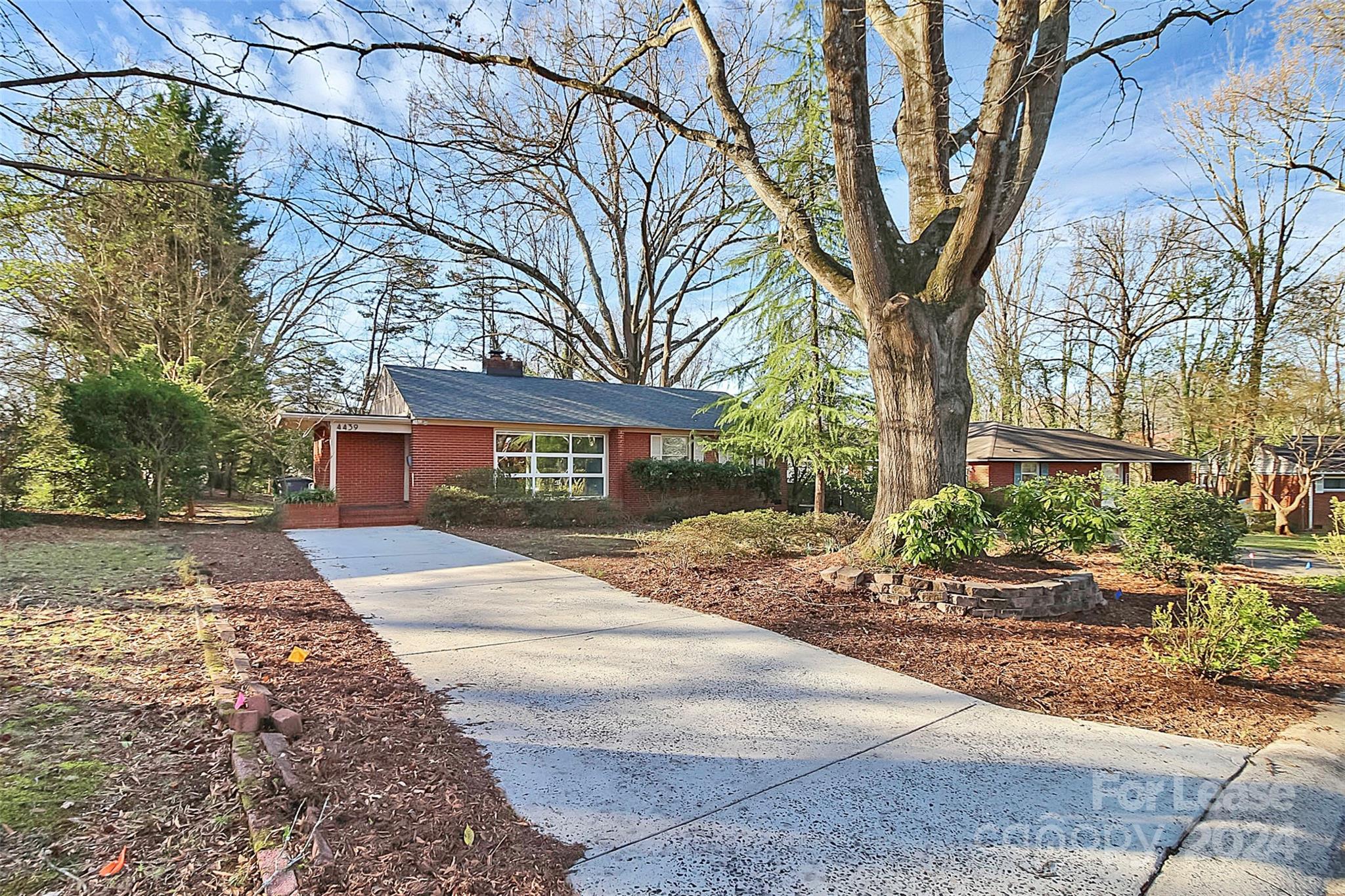 Collins Park - Residential Lease