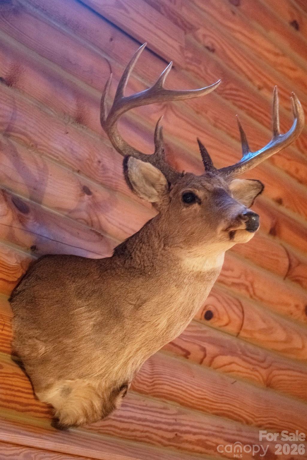 Waters Edge - Residential