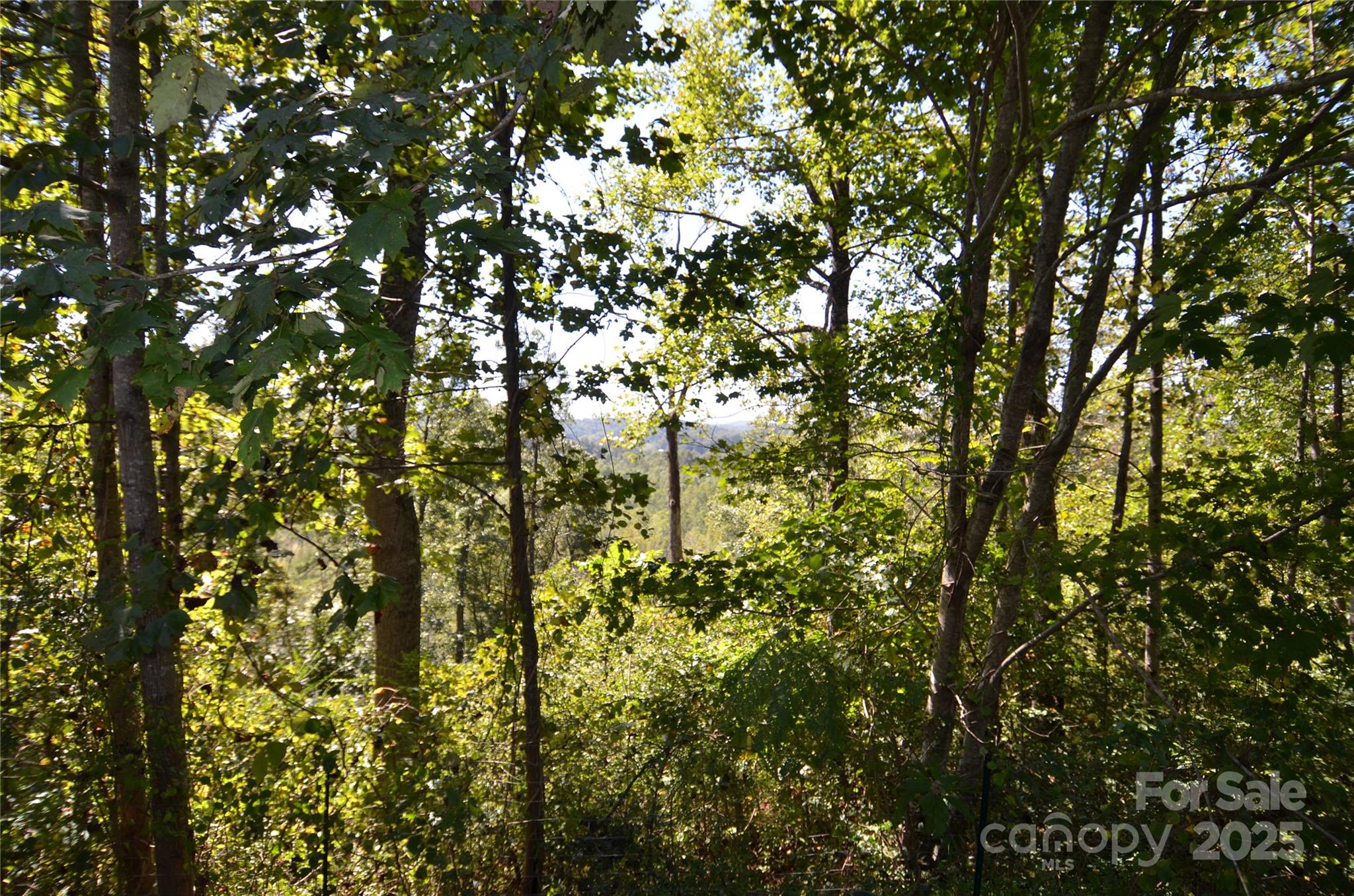285 Crown Ridge Drive