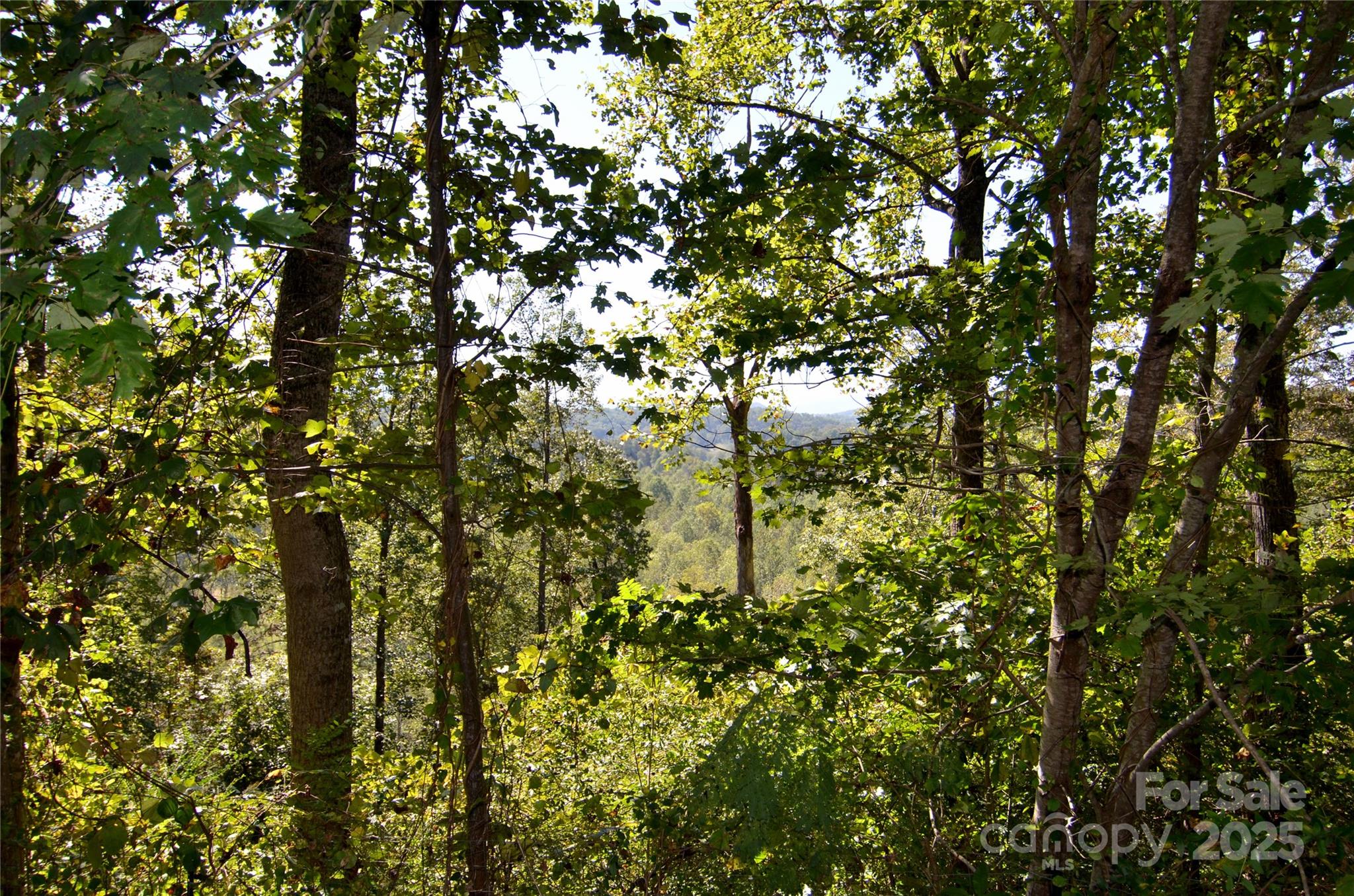 285 Crown Ridge Drive