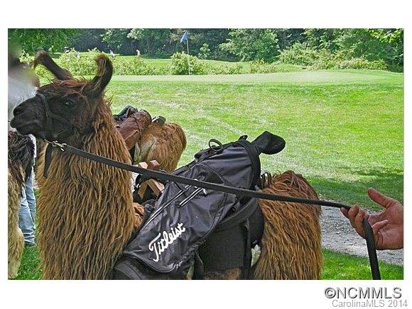 Sherwood Forest - Residential