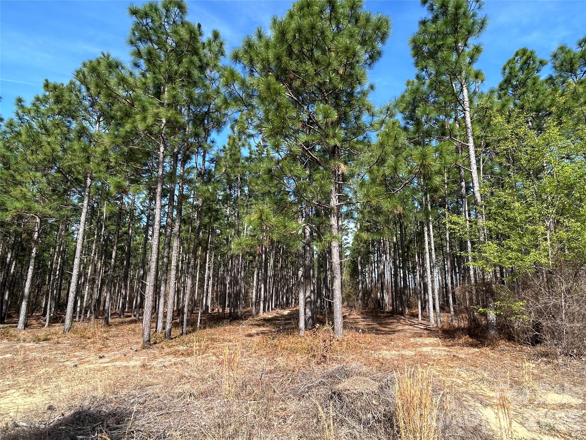 Johnson - Residential