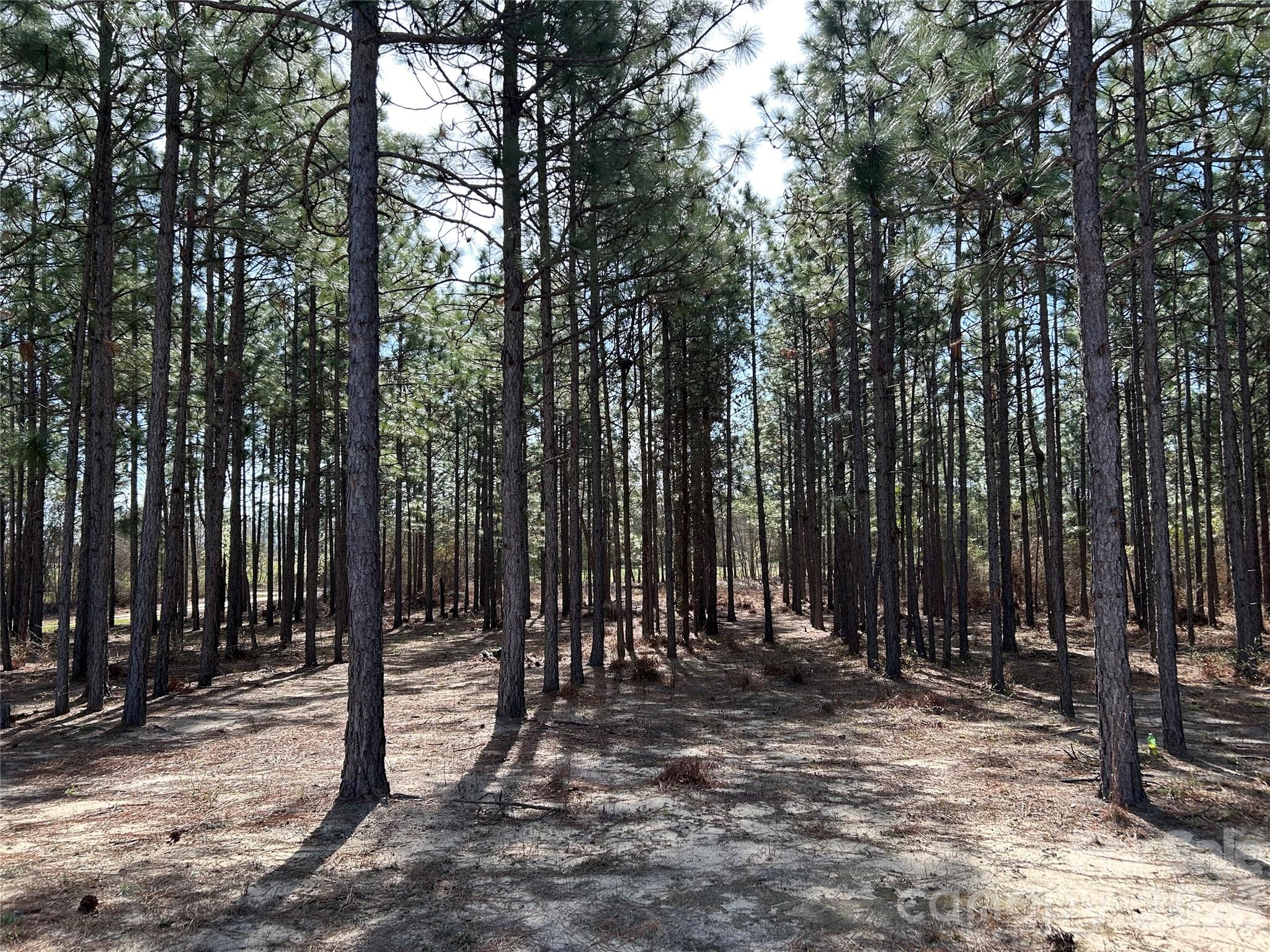 Johnson - Residential