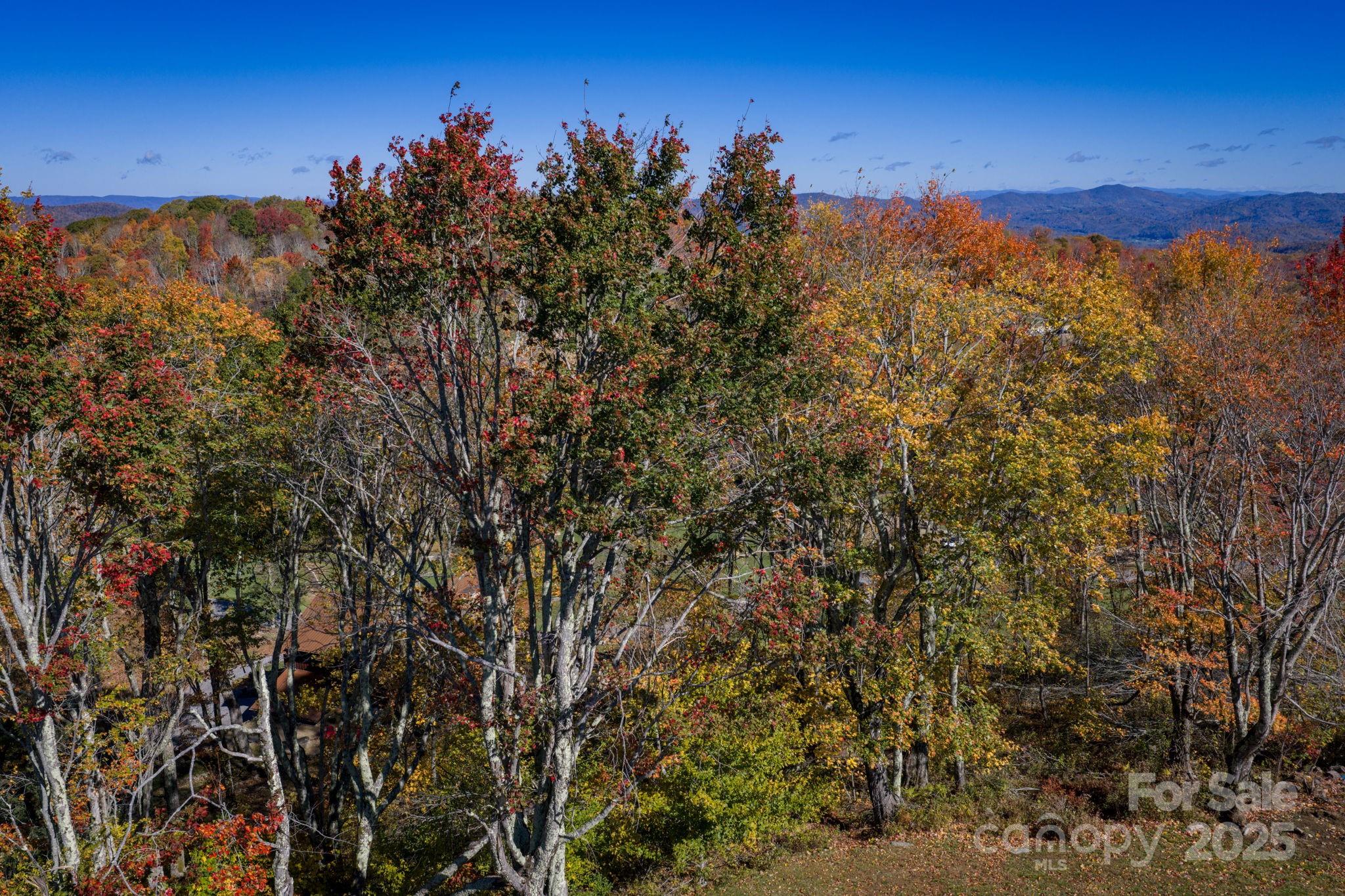 The Lodges at Eagles Nest - Land