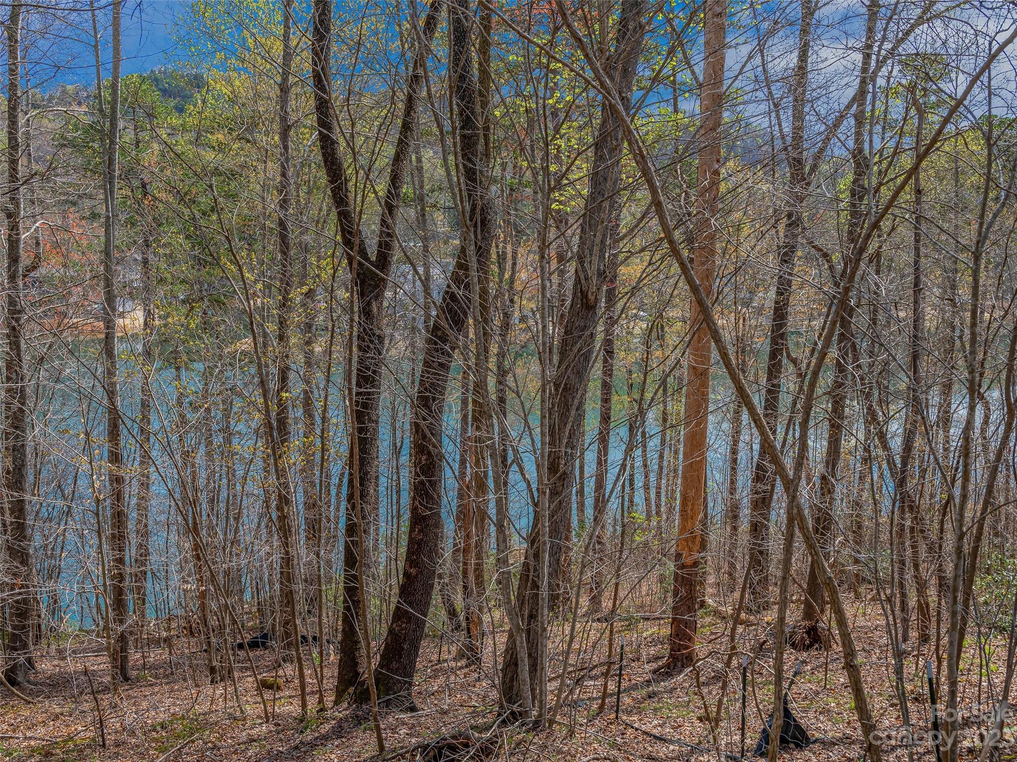 Blue Heron Point - Land