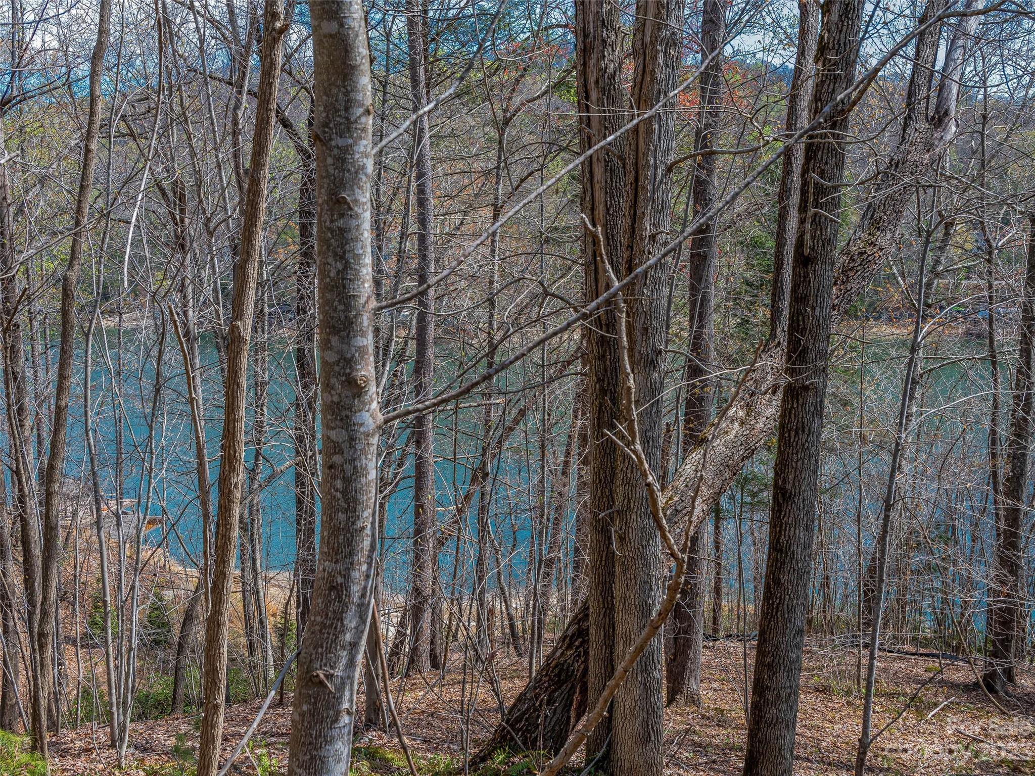 Blue Heron Point - Land