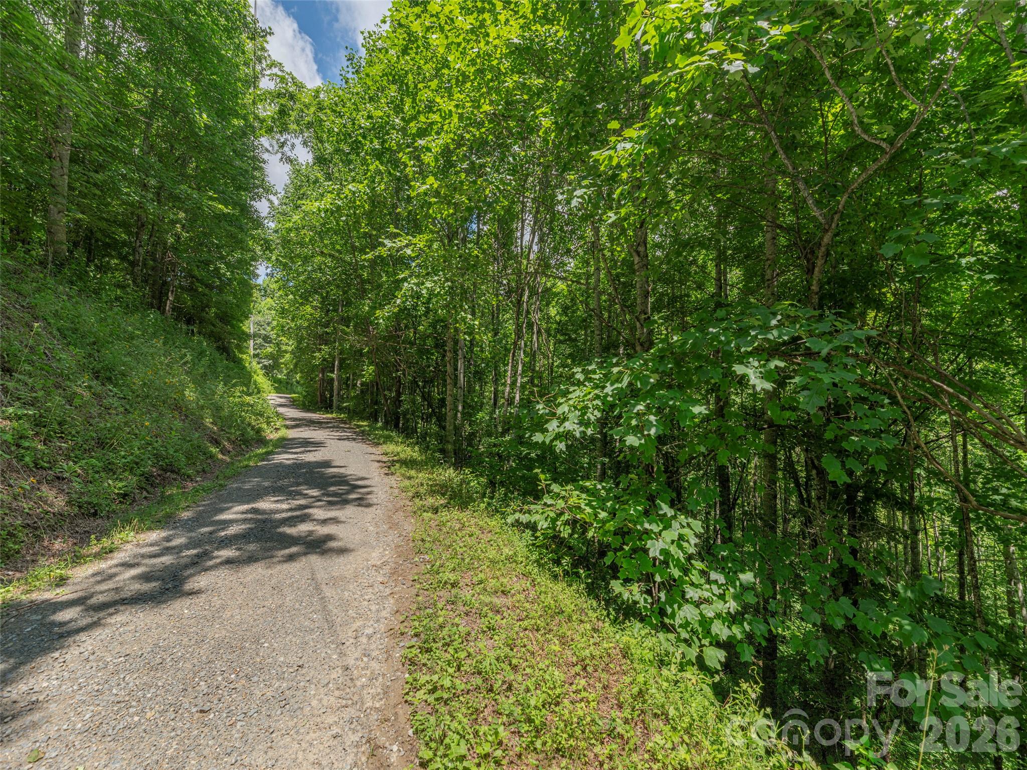 0000 Rough Knob Road, Clyde, NC, 28721
