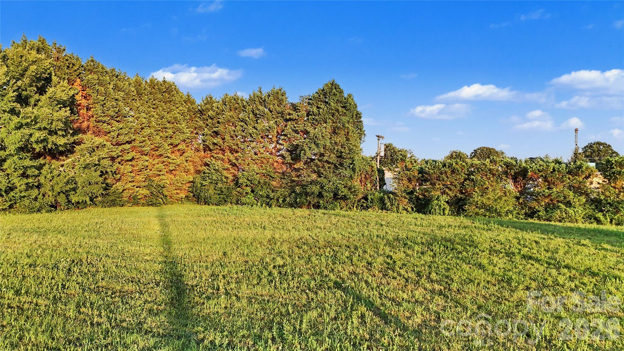 1229 Island Ford Road