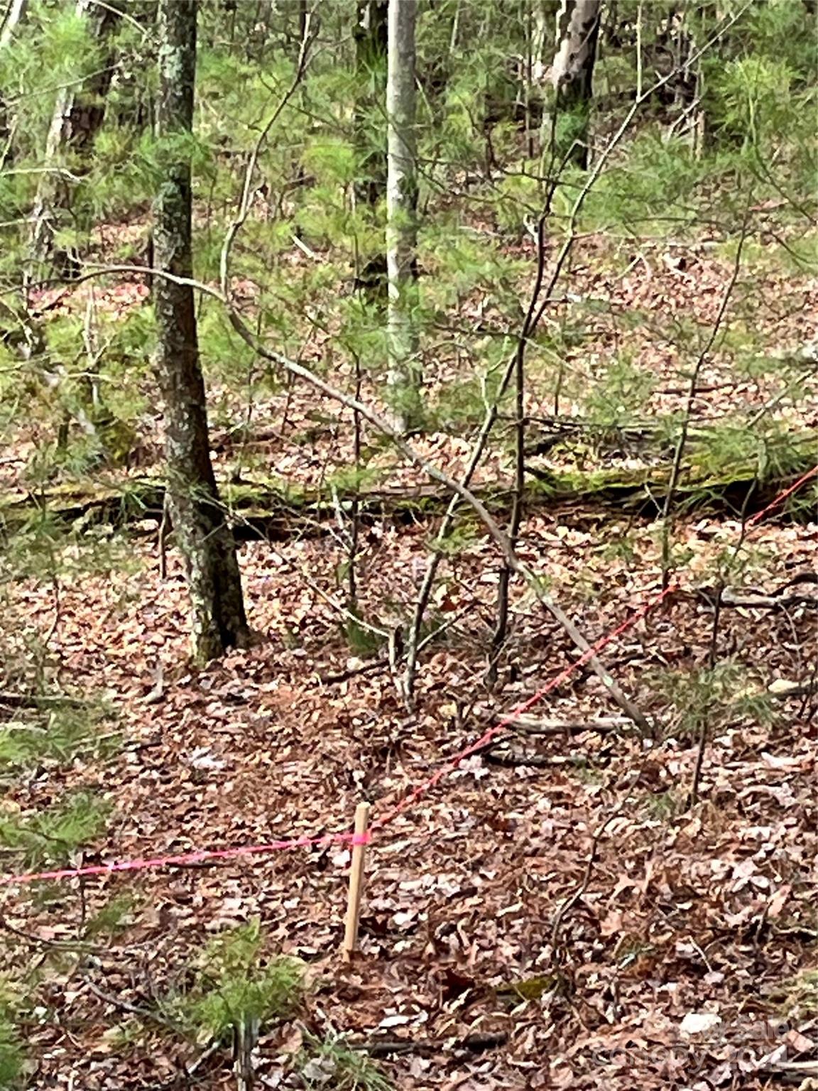 3 French Broad Overlook Lot 1