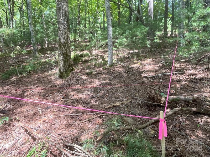 2.44 acres _ APPROVED FOR 4 BEDROOM SEPTIC AND NEW CONSTRUCTION. 2 more houses allowed to be built on this property if desired. A building site for one house is already staked and approved for septic & construction by Buncombe County. LOT 1, 2.44 acres, is beautifully wooded with rhododendron & mountain laurel. Gently sloping, cleared & staked for a lower-level walk-out.  A back deck would provide peaceful enjoyment of the surrounding woods. A private road is in place, well engineered for maximum drainage and long life. Underground electric. City Water available & meter location marked by Asheville Water Dept with a blue flag. 1 mile to the Blue Ridge Parkway & The NC Arboretum. 1.4 miles to Biltmore Park restaurants and shopping. 3 miles to Airport. 6 Miles to downtown Asheville.