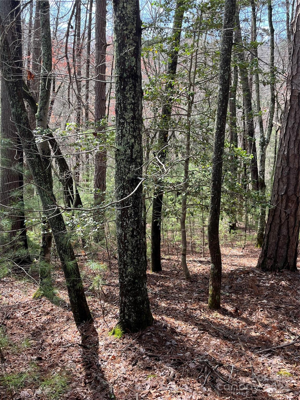 3 French Broad Overlook Lot 1