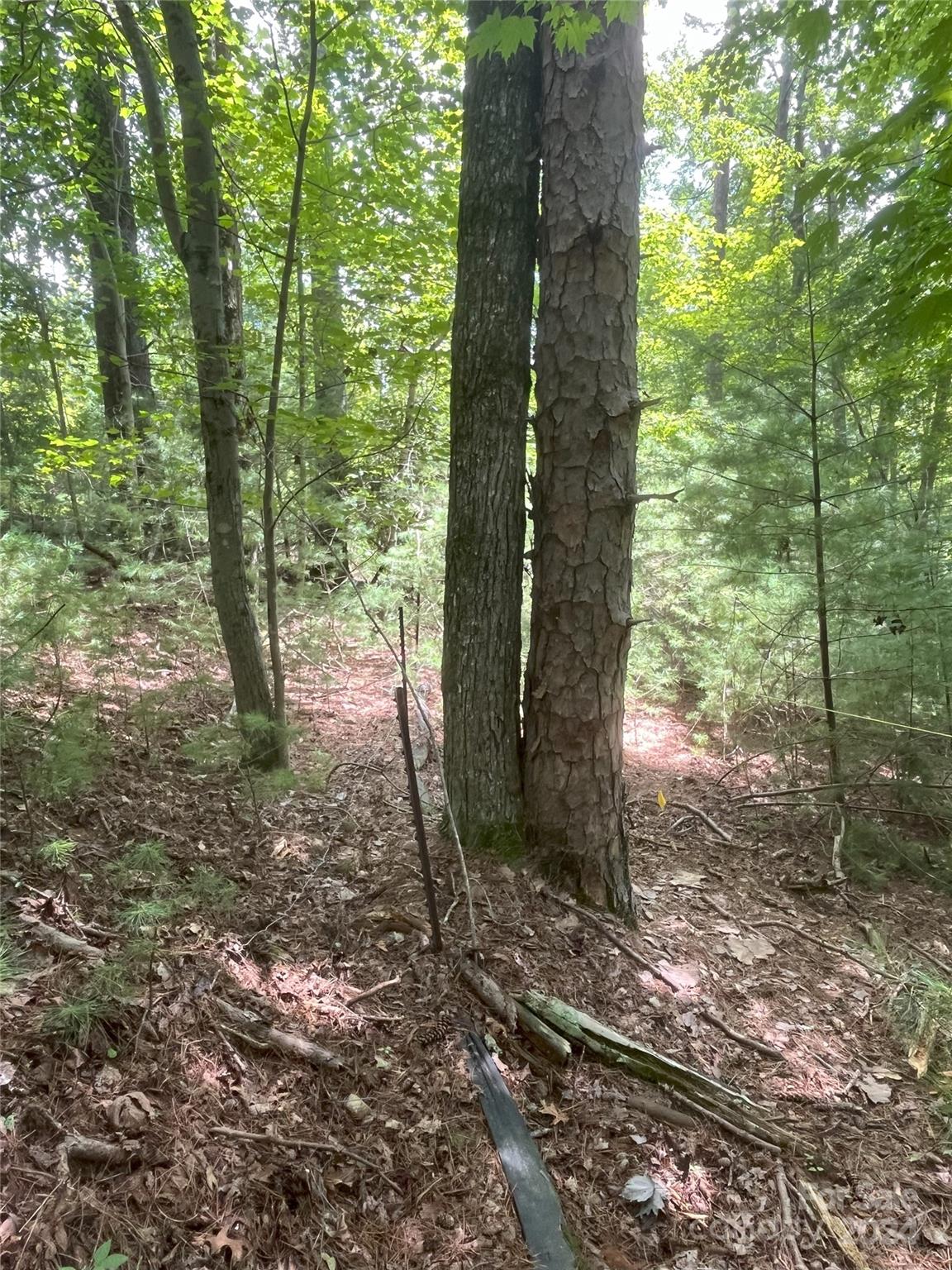 3 French Broad Overlook Lot 1