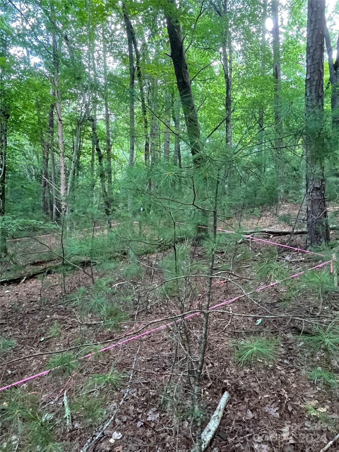 3 French Broad Overlook Lot 1