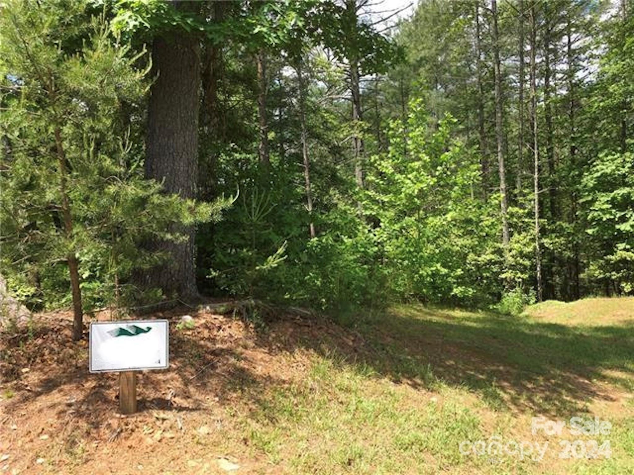 The Coves Mountain River Club - Land