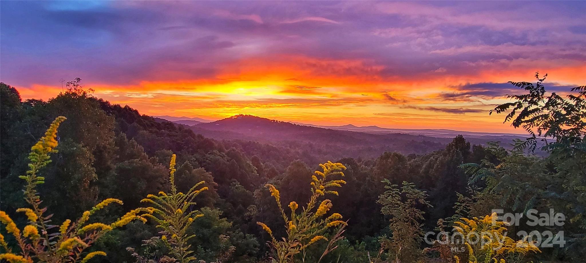 The Coves Mountain River Club - Land