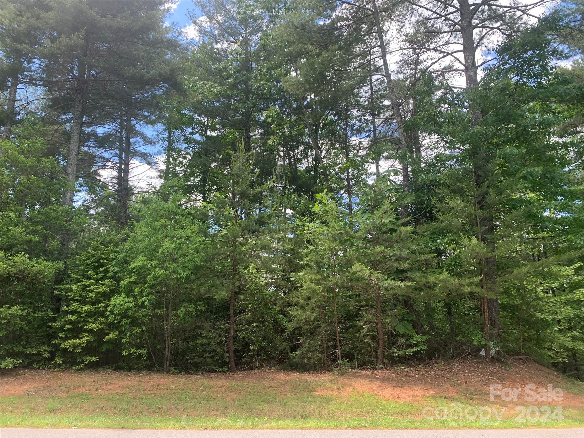 2.45 acres, Lot 309, 1211 Winding Creek Way 309