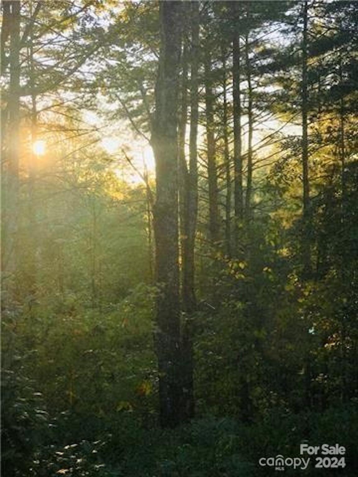 The Coves Mountain River Club - Land