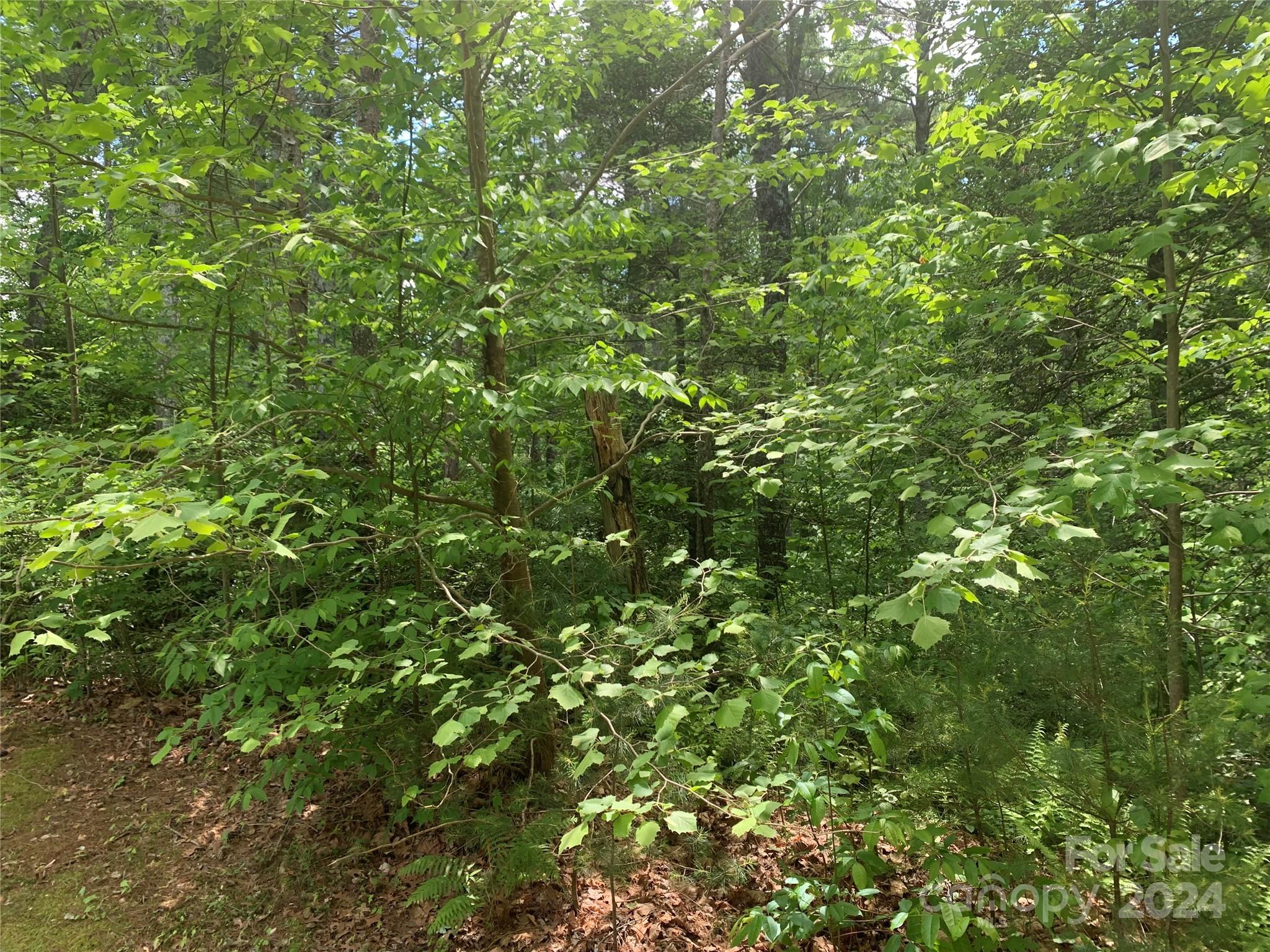 2.45 acres, Lot 309, 1211 Winding Creek Way 309