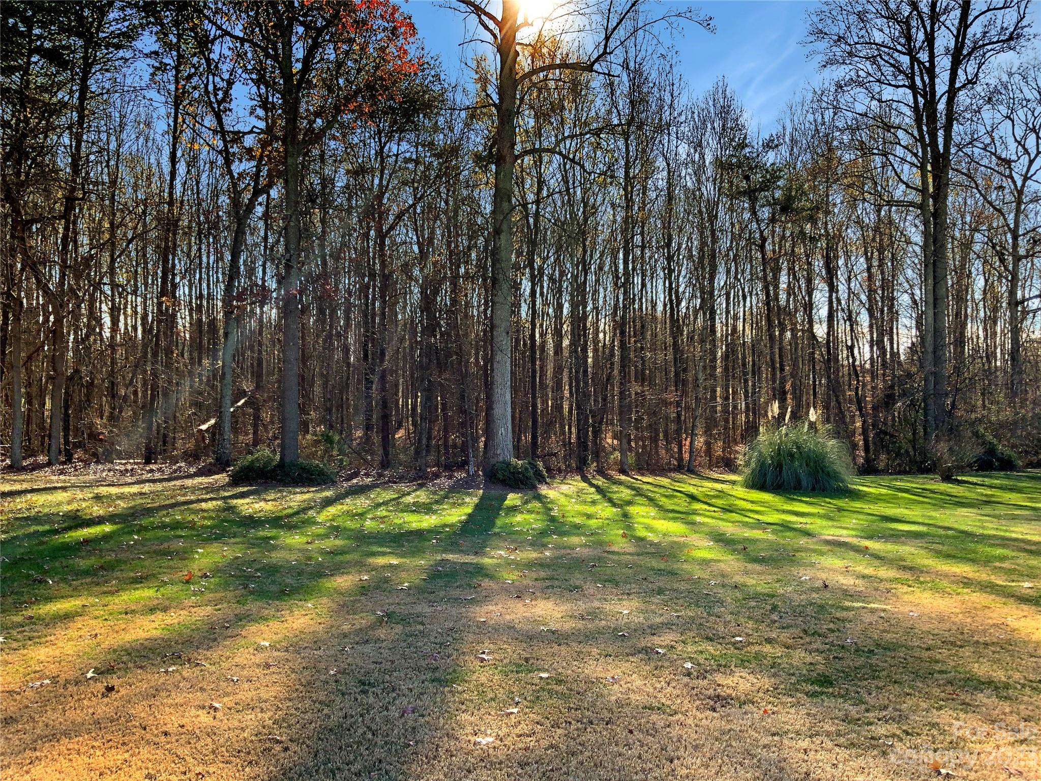Spring Forest - Residential