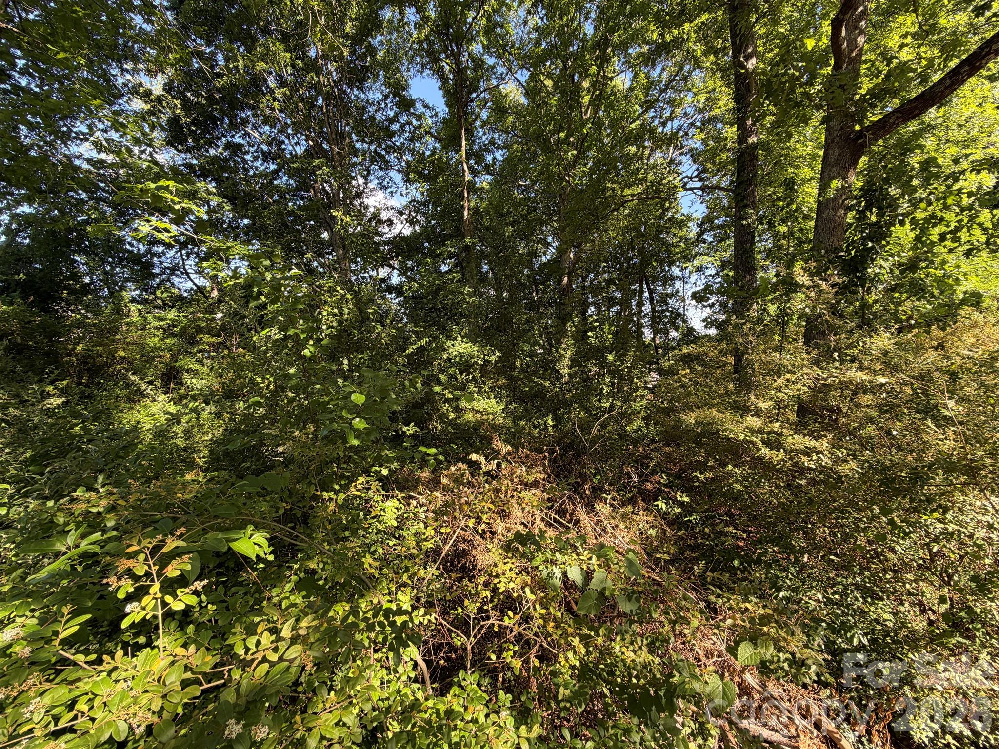 Brooks Glen - Land