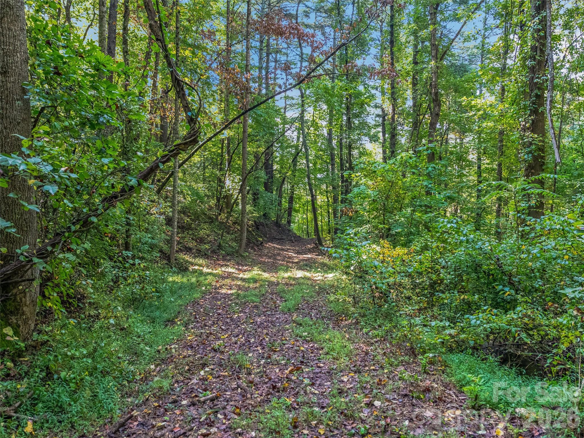 TBD Robinhood Road 2
