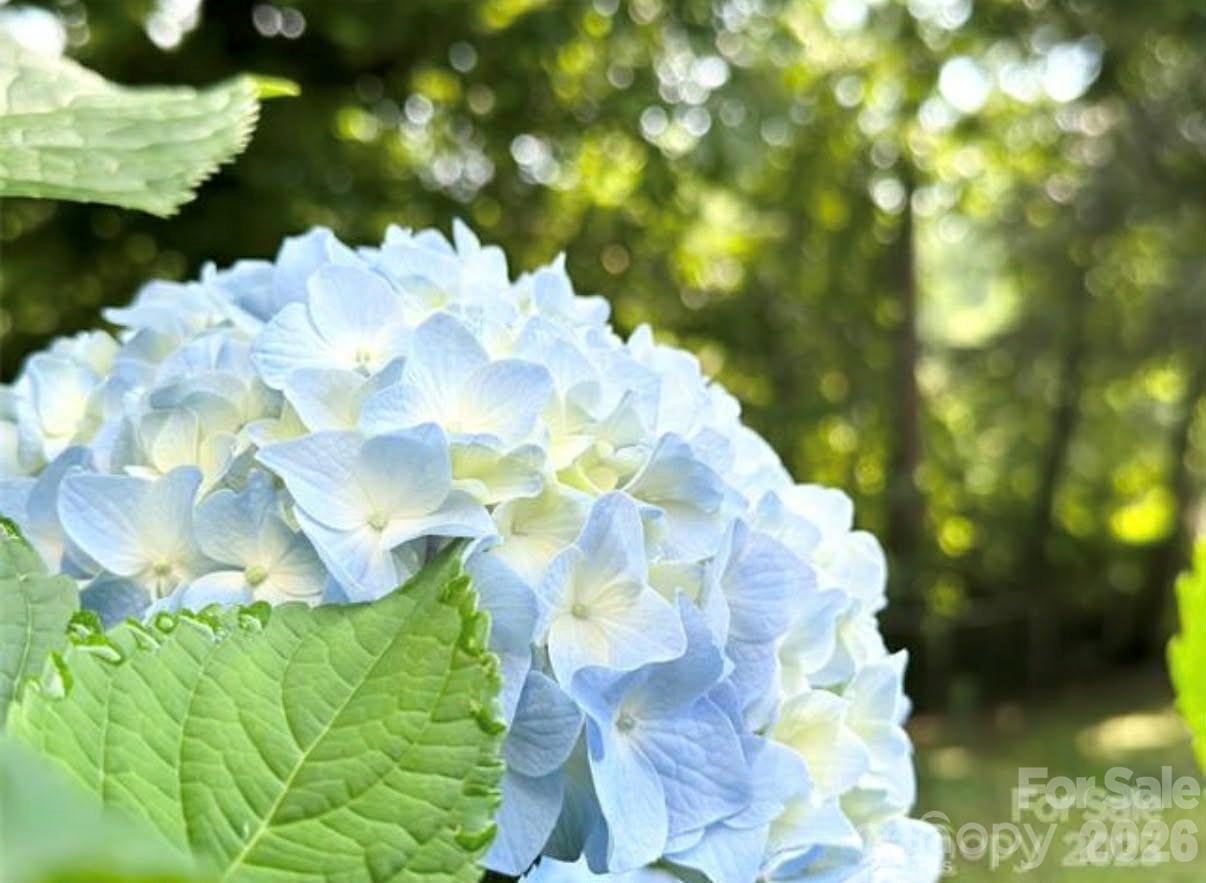 Hidden Lakes - Residential