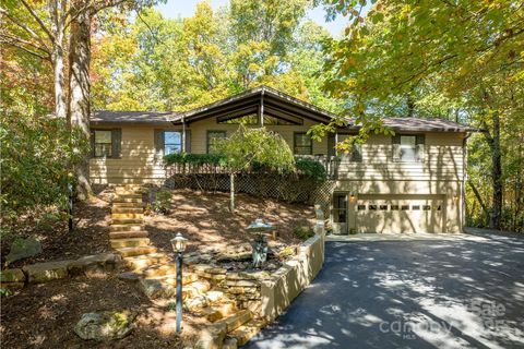 1955 Connestee Trail Brevard NC 28712